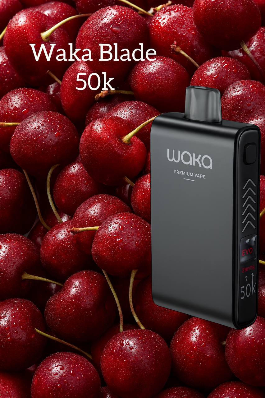 IMG_20251013_145830_855 IMG_20251013_145830_855