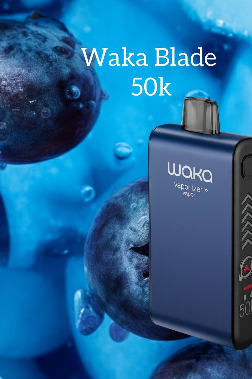 IMG_20251013_145831_138 IMG_20251013_145831_138